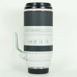 Canon RF100-500mm F4.5-7.1L IS USM