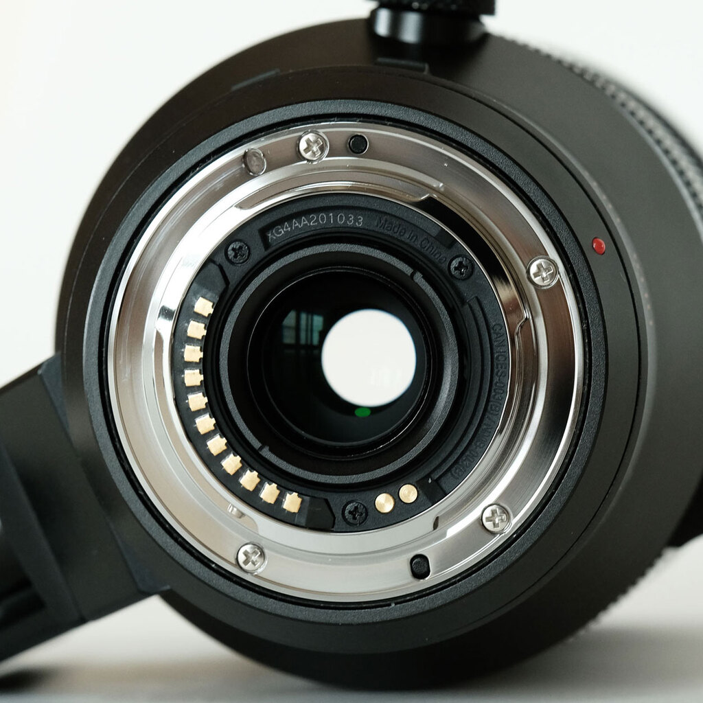 Panasonic LEICA DG VARIO-ELMAR 100-400mm / F4.0-6.3 II ASPH. / POWER O.I.S.