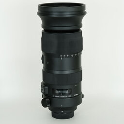 SIGMA 60-600mm F4.5-6.3 DG OS HSM｜Sports [ニコンF用]