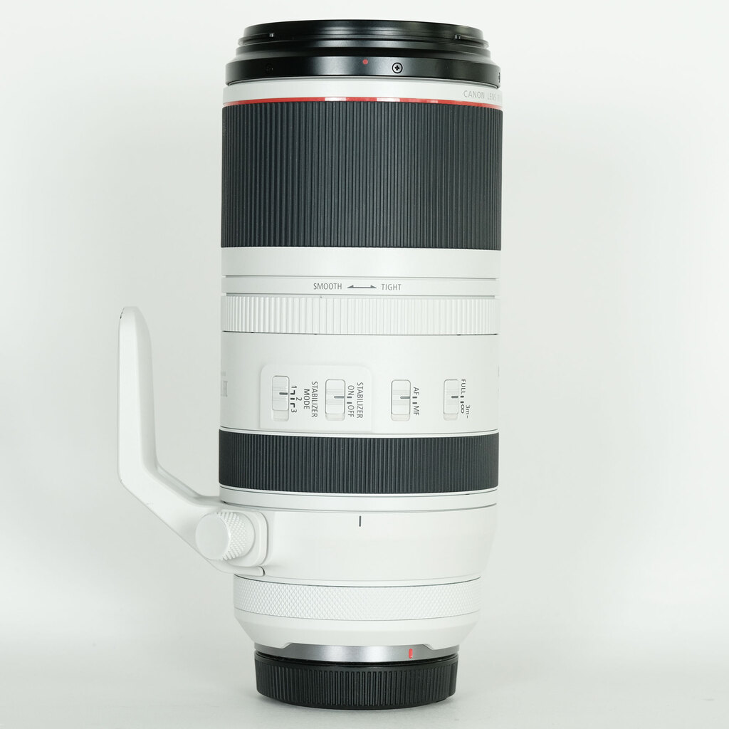 Canon RF100-500mm F4.5-7.1L IS USM