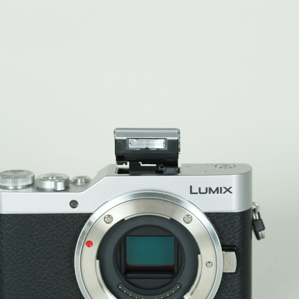 Panasonic LUMIX DC-GF9 ボディ シルバーの出品 | ONE SCENE（ワンシーン）