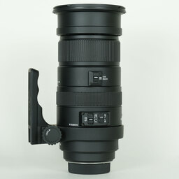SIGMA APO 50-500mm F4.5-6.3 DG OS HSM (ペンタックス用) SIGMA APO 50-500mm F4.5-6.3 DG OS HSM (ペンタックス用)