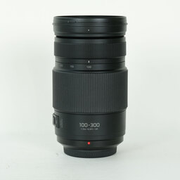 Panasonic LUMIX G VARIO 100-300mm / F4.0-5.6 II / POWER O.I.S. Panasonic LUMIX G VARIO 100-300mm / F4.0-5.6 II / POWER O.I.S.