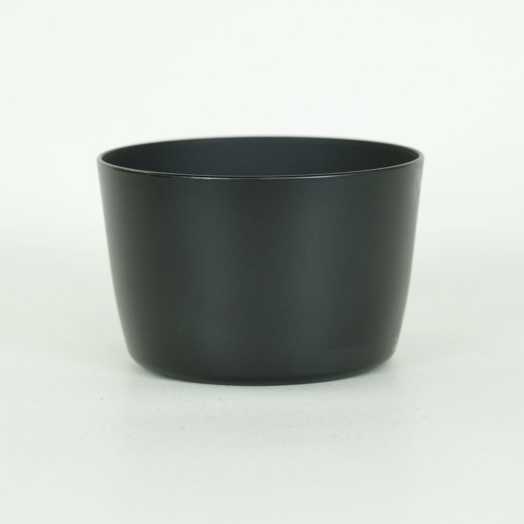 Canon EF-S55-250mm F4-5.6 IS