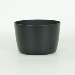 Canon EF-S55-250mm F4-5.6 IS