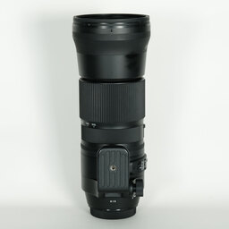 SIGMA 150-600mm F5-6.3 DG OS HSM | Contemporary [キヤノンEF用]