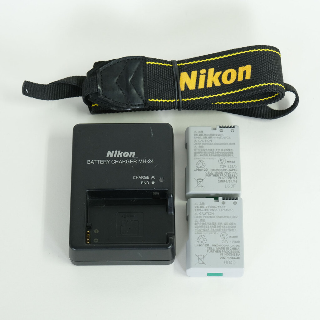 Nikon D5500