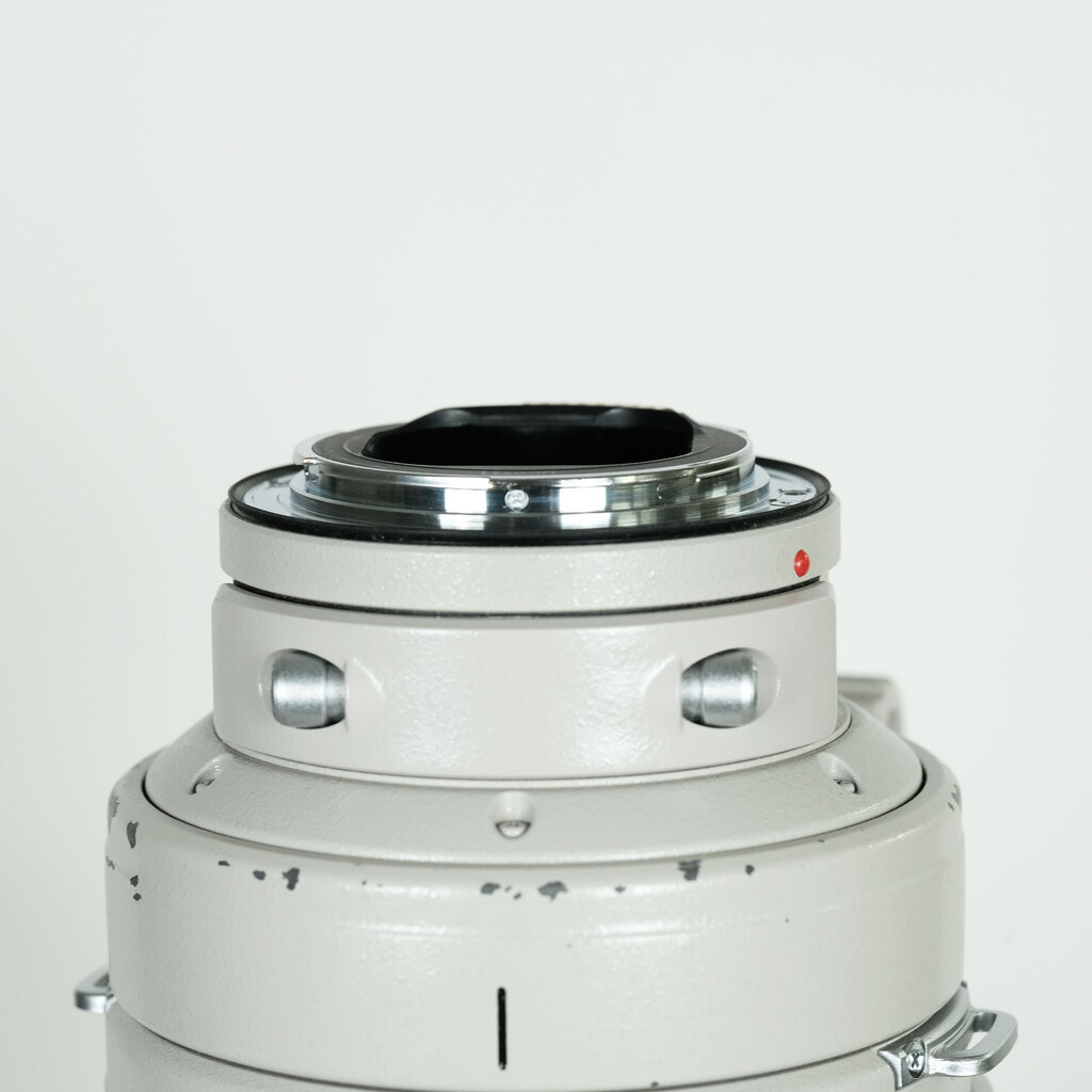 Canon EF300mm F2.8L IS USM