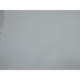 RICOH GR DIGITAL III
