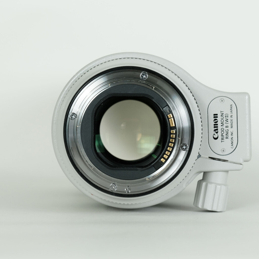 Canon EF70-200mm F2.8L IS III USM