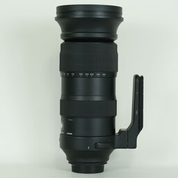 SIGMA 60-600mm F4.5-6.3 DG OS HSM | Sports [キヤノン用]