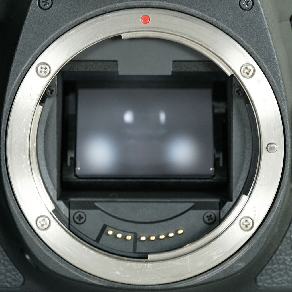 Canon EOS 6D Mark II