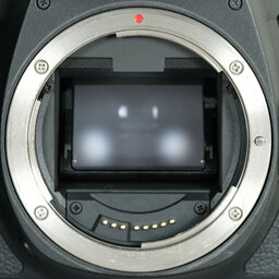 Canon EOS 6D Mark II