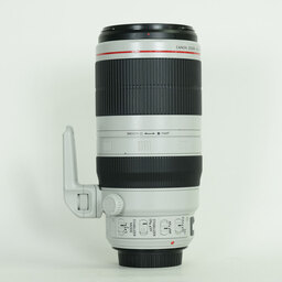 Canon EF100-400mm F4.5-5.6L IS II USM