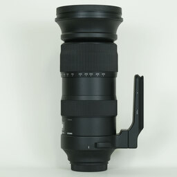 SIGMA 60-600mm F4.5-6.3 DG OS HSM | Sports [キヤノン用]