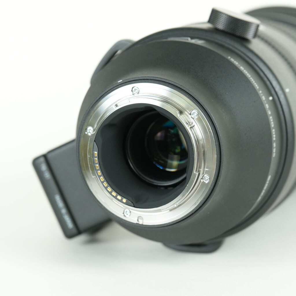 SIGMA 150-600mm F5-6.3 DG DN OS｜Sports [ソニーE用]