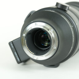 SIGMA 150-600mm F5-6.3 DG DN OS｜Sports [ソニーE用]