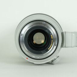 Canon EF100-400mm F4.5-5.6L IS II USM