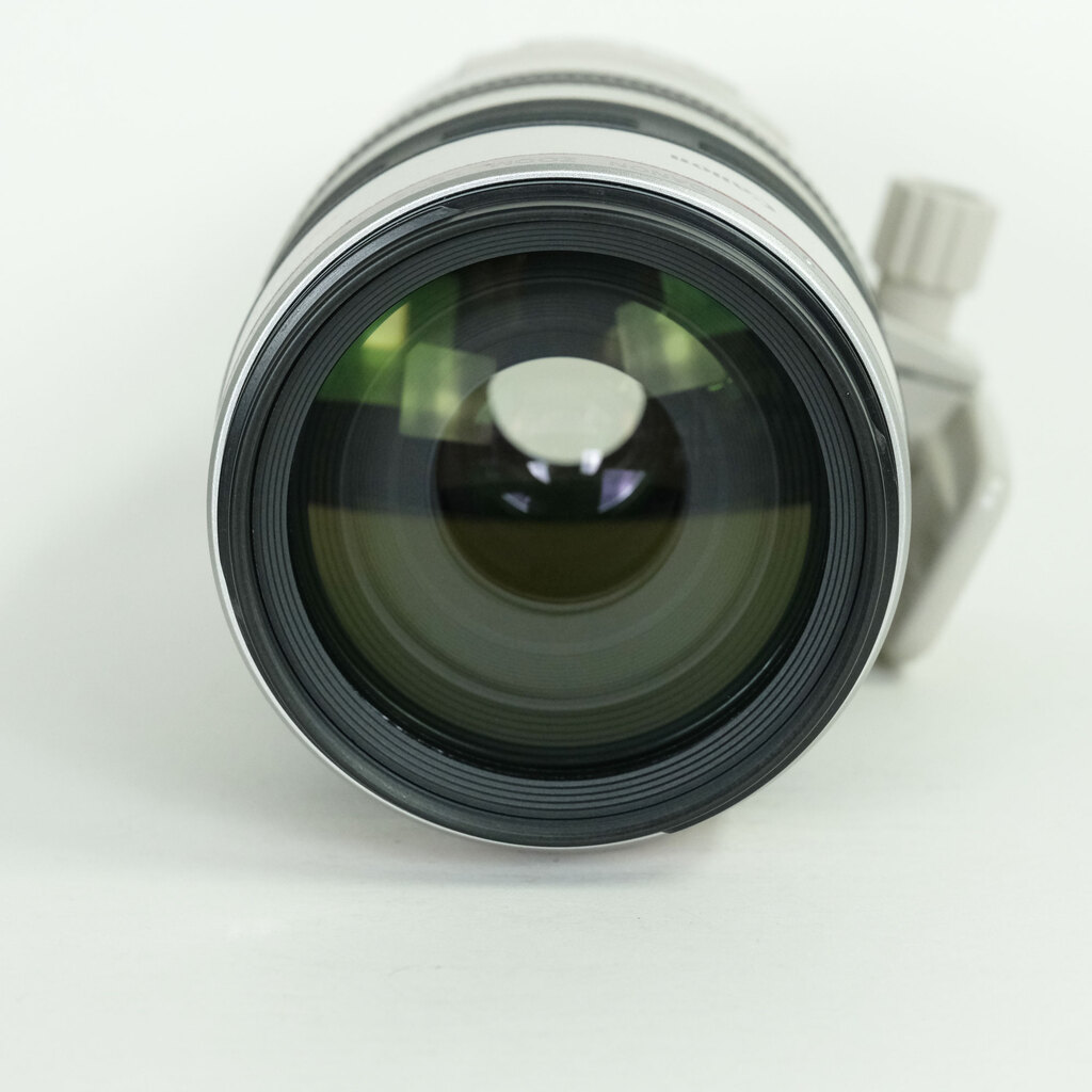 Canon EF100-400mm F4.5-5.6L IS USM