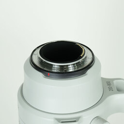 Canon RF200-800mm F6.3-9 IS USM Canon RF200-800mm F6.3-9 IS USM