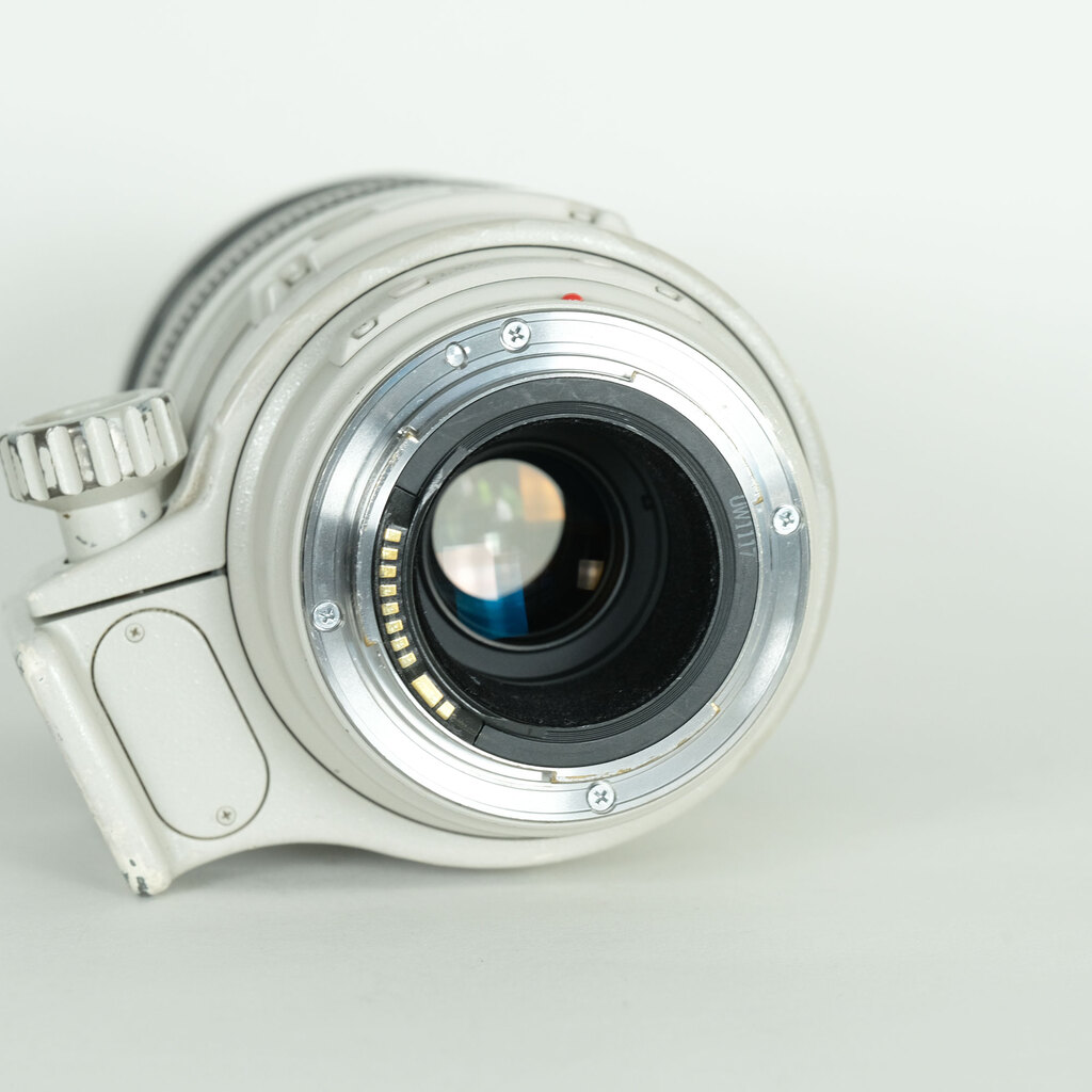 Canon EF100-400mm F4.5-5.6L IS USM