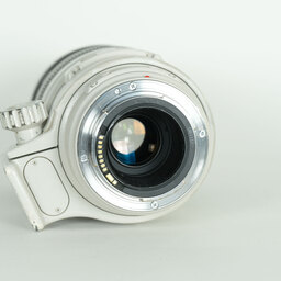 Canon EF100-400mm F4.5-5.6L IS USM