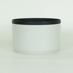 Canon RF70-200mm F4 L IS USM