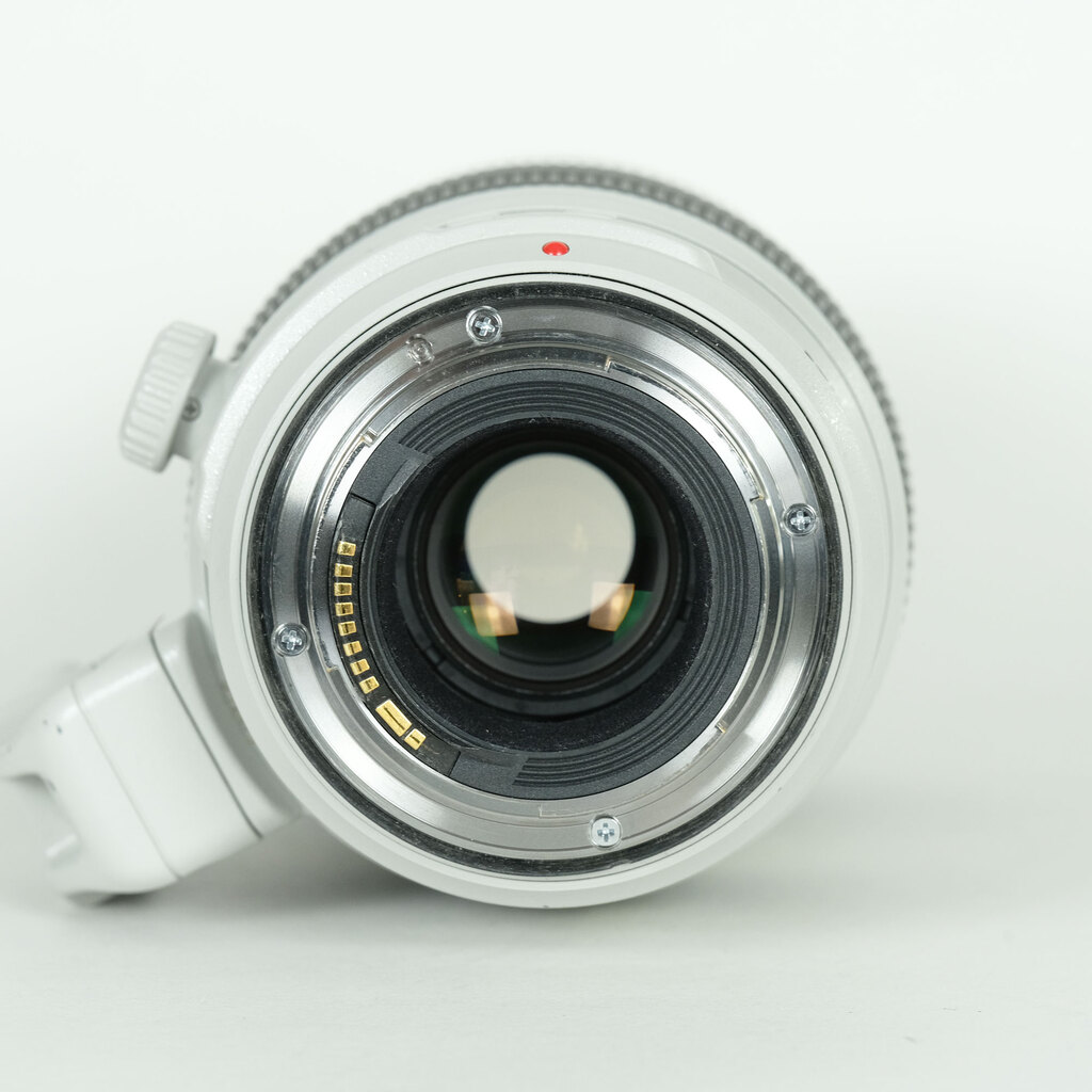 Canon EF100-400mm F4.5-5.6L IS II USM