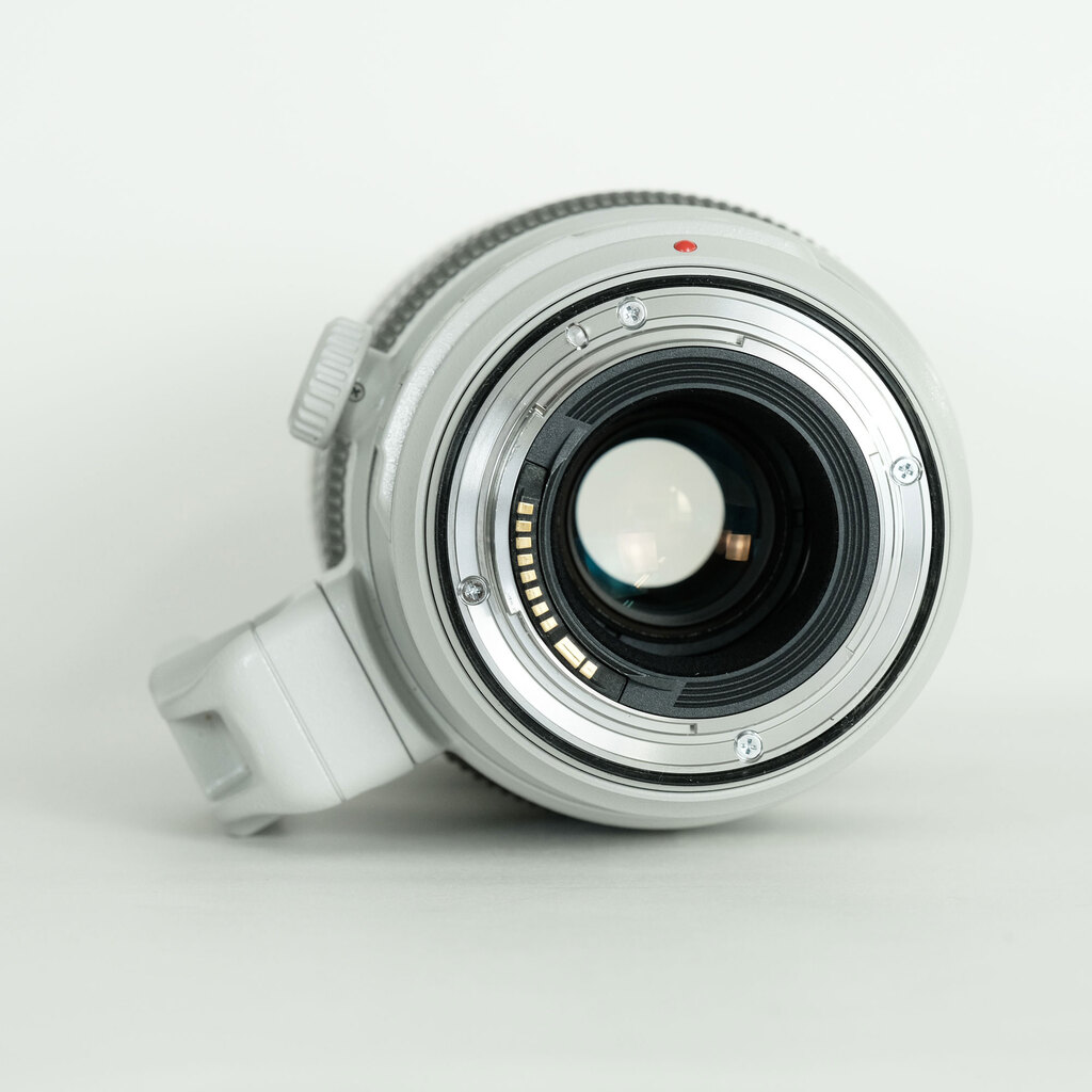 Canon EF100-400mm F4.5-5.6L IS II USM