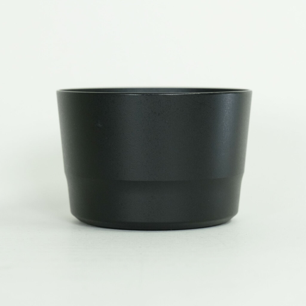 Canon EF-S55-250mm F4-5.6 IS STM