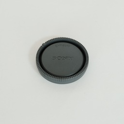 SONY FE 24-105mm F4 G OSS SEL24105G