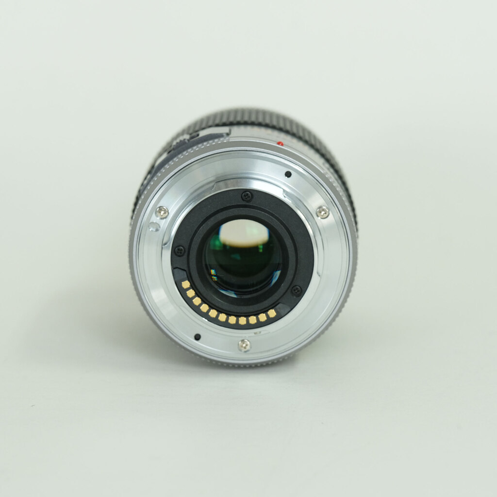 Panasonic LUMIX G X VARIO PZ 45-175mm / F4.0-5.6 ASPH. / POWER O.I.S.