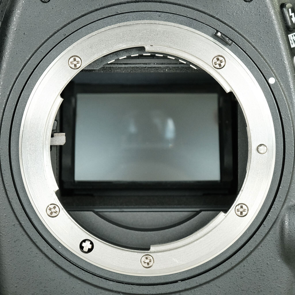 Nikon D800