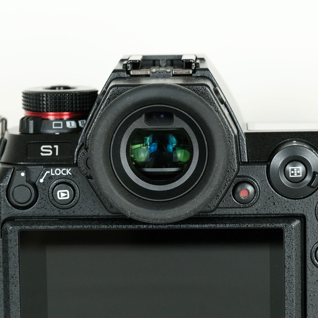 Panasonic LUMIX DC-S1