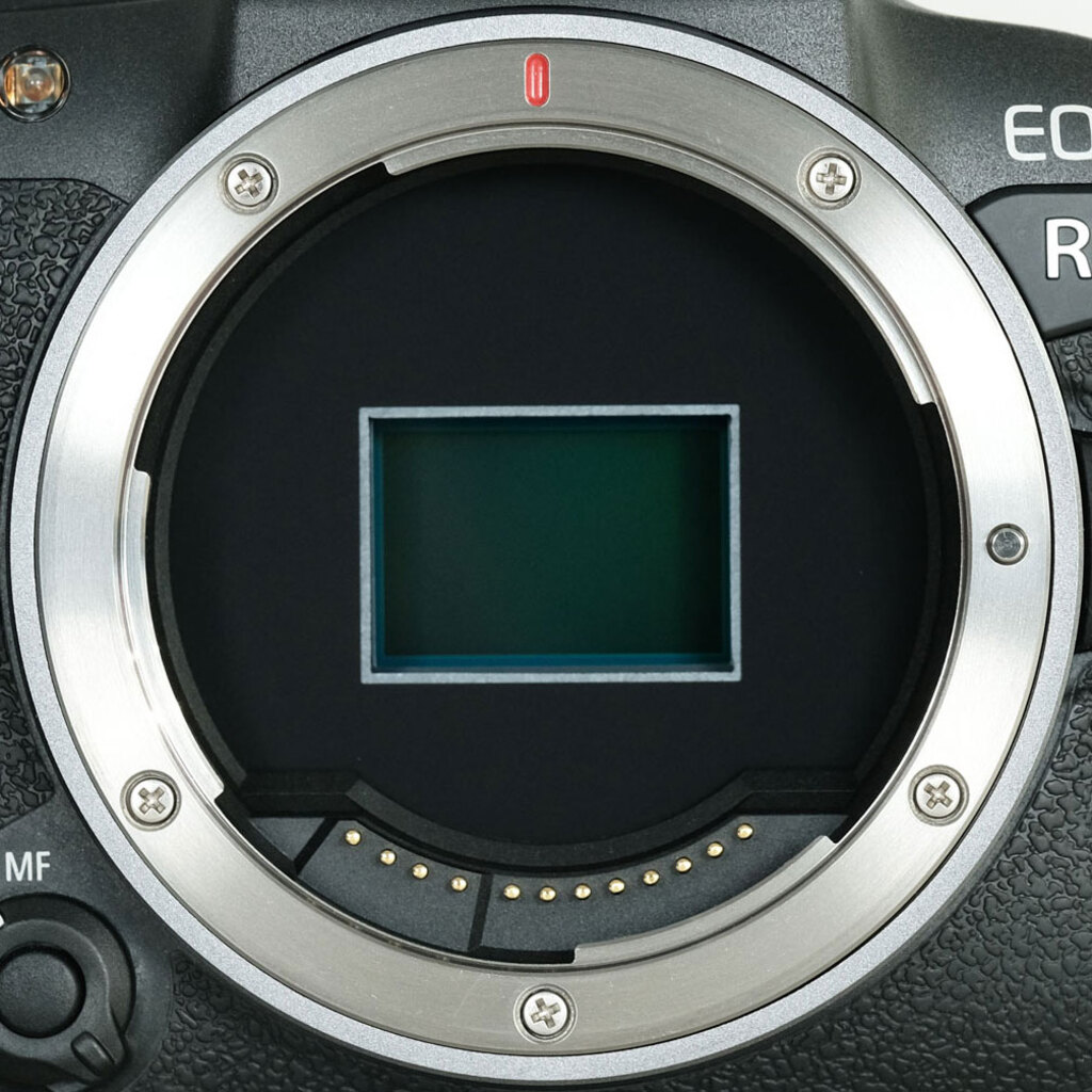 Canon EOS R10