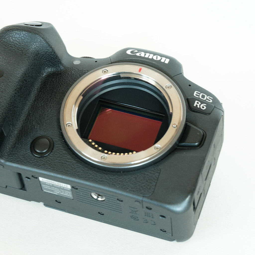 Canon EOS R6の出品 | ONE SCENE（ワンシーン）