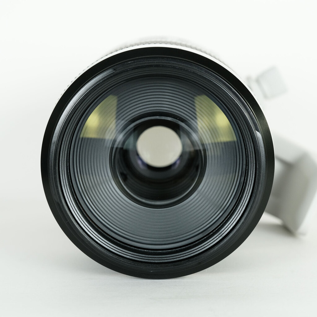 Canon RF100-500mm F4.5-7.1L IS USM