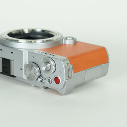 Panasonic LUMIX DC-S9