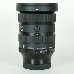 SIGMA 24-70mm F2.8 DG DN II｜Art [ソニーE用]