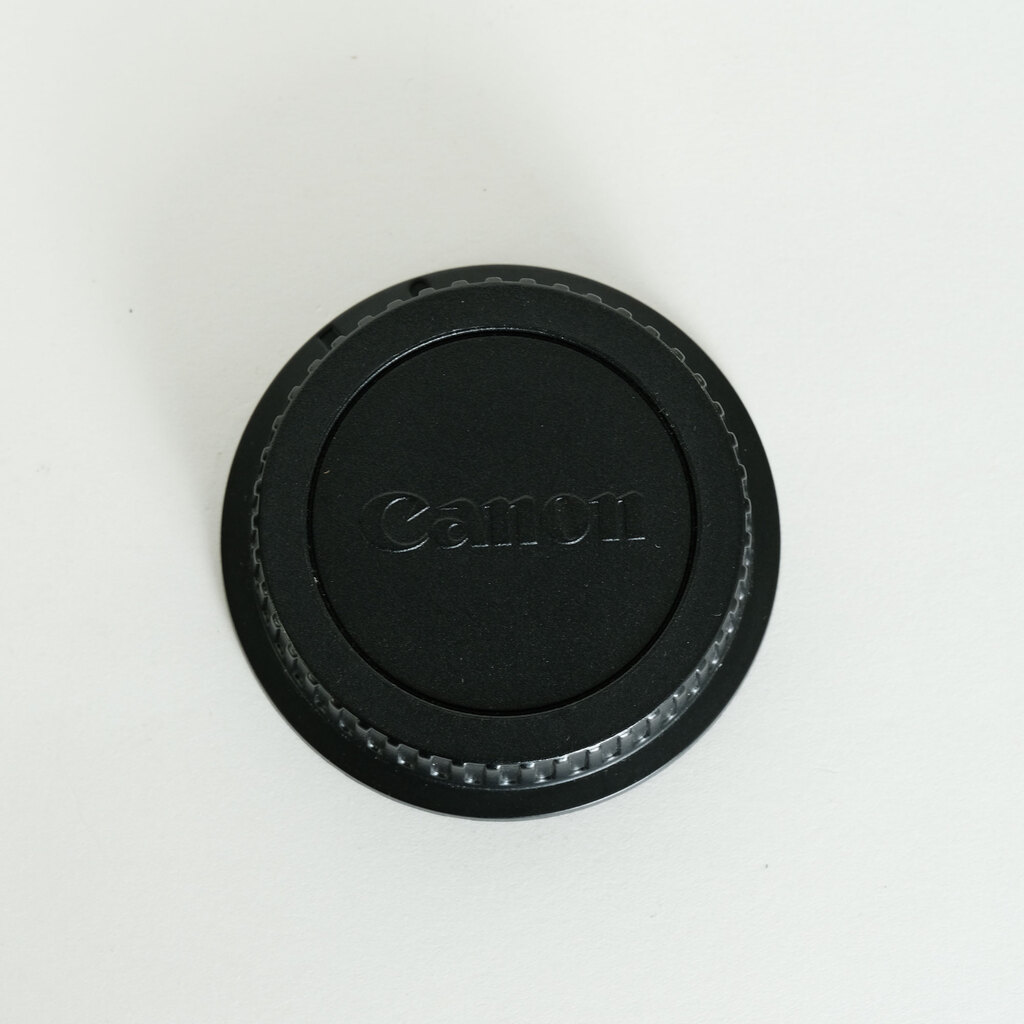 TAMRON SP 70-300mm F4-5.6 Di VC USD/Model A005E(キヤノンEF用)