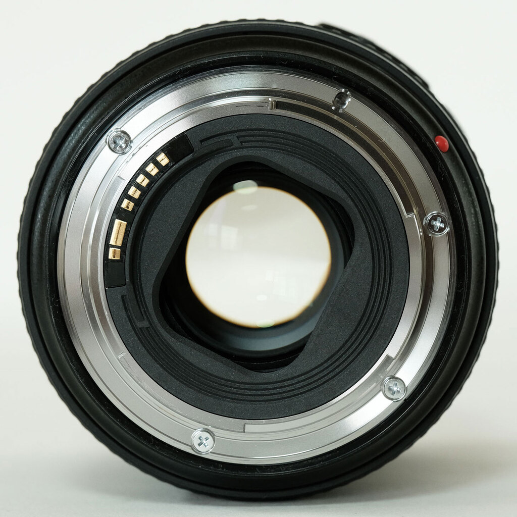 Canon EF24-105mm F4L IS II USM