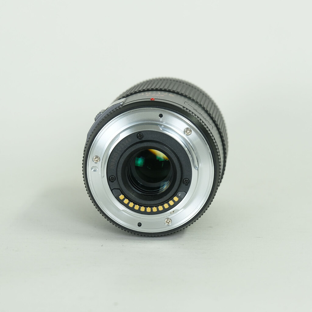 Panasonic LUMIX G X VARIO PZ 45-175mm / F4.0-5.6 ASPH. / POWER O.I.S.
