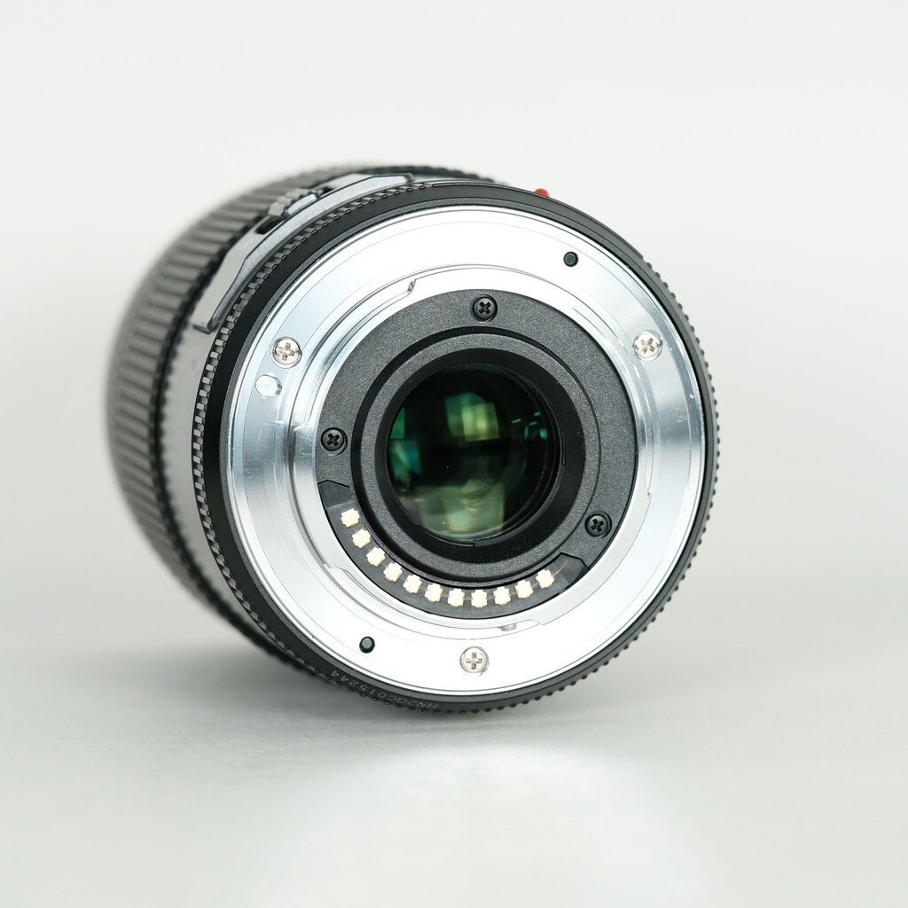 Panasonic LUMIX G X VARIO PZ 45-175mm / F4.0-5.6 ASPH. / POWER O.I.S.