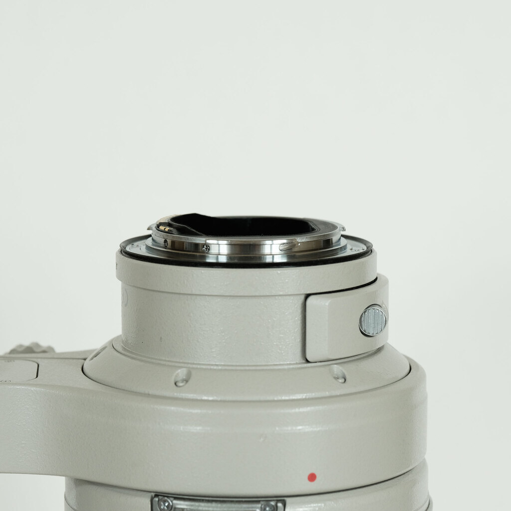 Canon EF300mm F2.8L IS USMの出品 | ONE SCENE（ワンシーン）