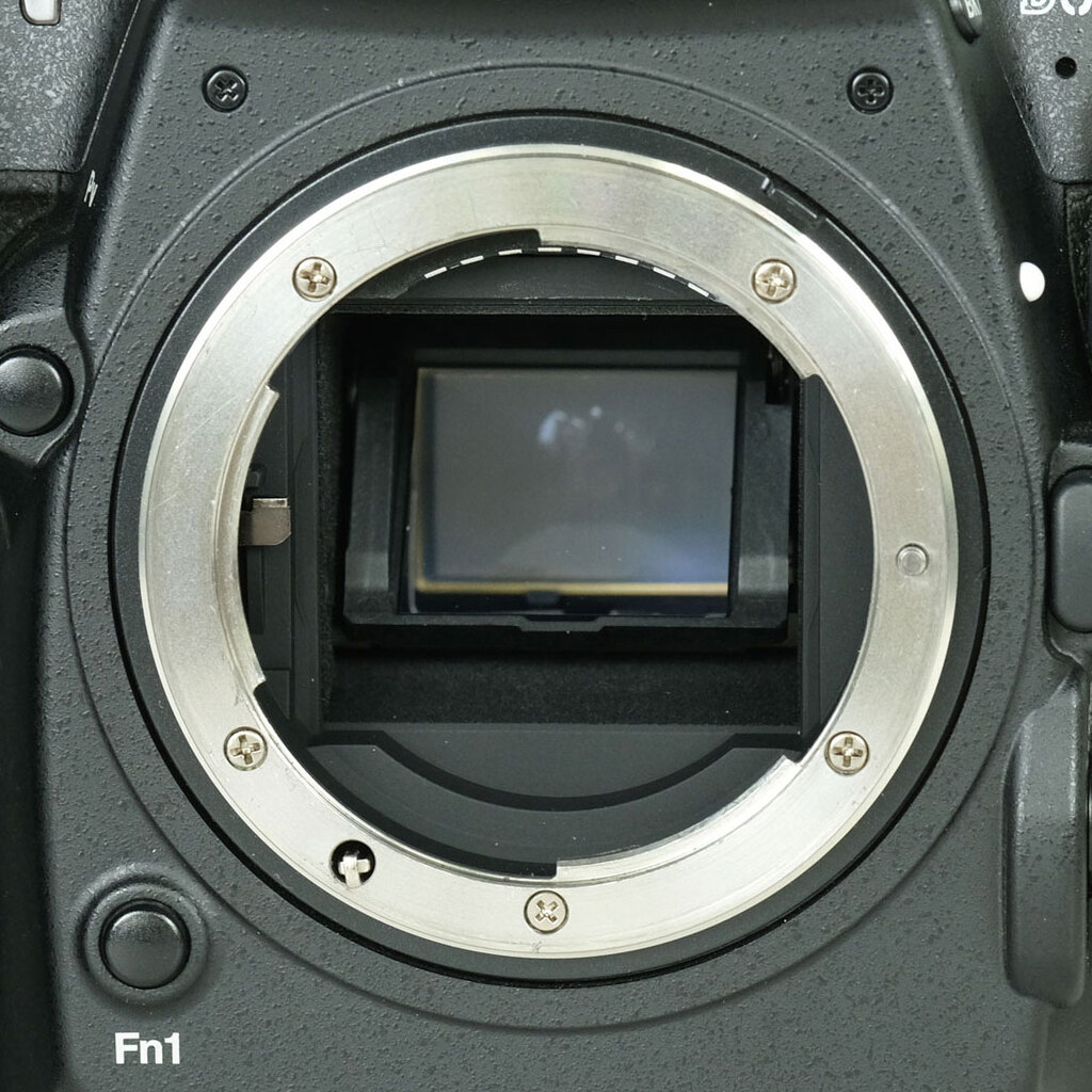 Nikon D500