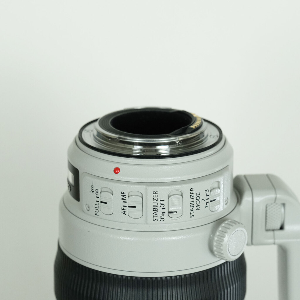 Canon EF100-400mm F4.5-5.6L IS II USM