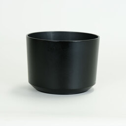 SONY E 55-210mm F4.5-6.3 OSS SEL55210