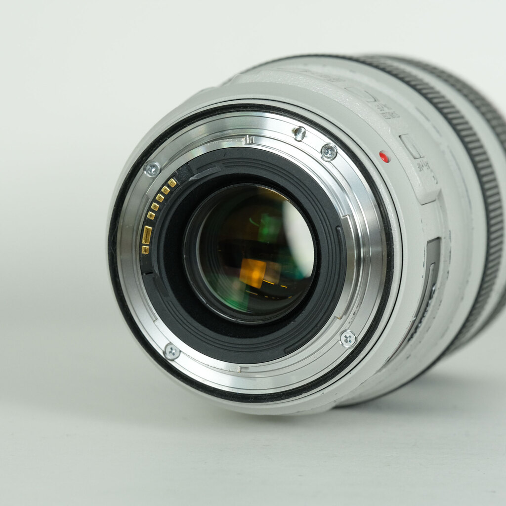 Canon EF70-300mm F4-5.6L IS USMの出品 | ONE SCENE（ワンシーン）