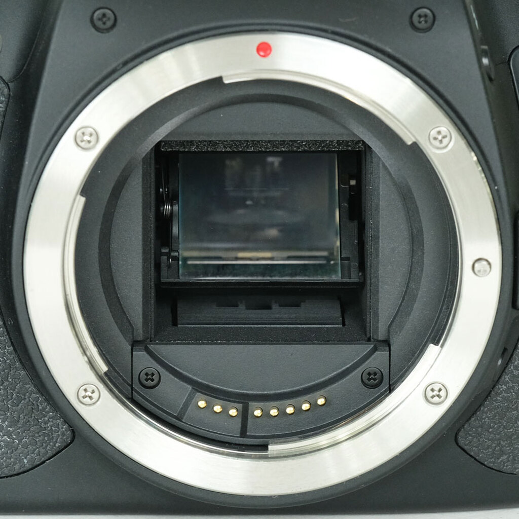 Canon EOS Kiss X6i ボディの出品 | ONE SCENE（ワンシーン）