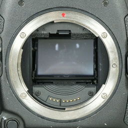 Canon EOS-1D X Canon EOS-1D X